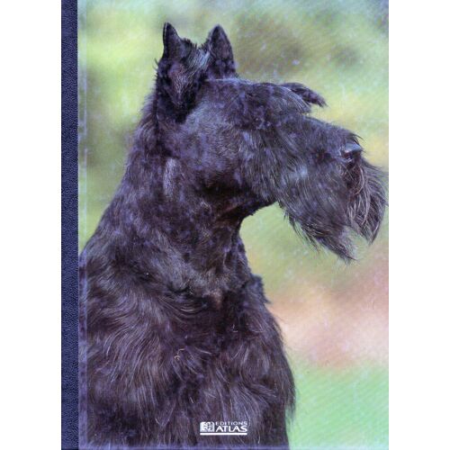 Mon Compagnon Le Chien Volume 17