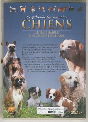 Le Monde Fascinant Des Chiens No 7 Le Flat-Coated, Le Plus Habile Des Chiens De Chasse