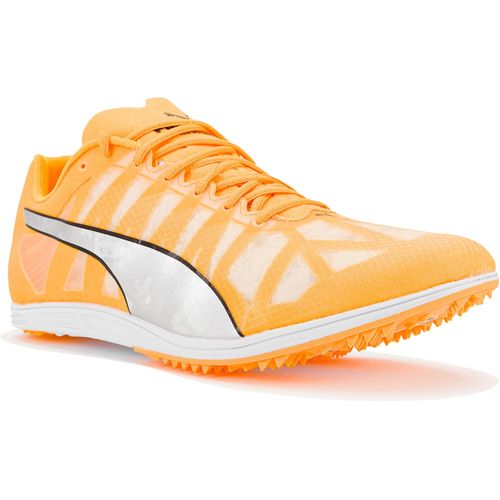 Chaussures Puma Evospeed Distancem Déstockage