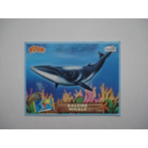 Sticker Pitch - Les Animaux En Danger - La Baleine