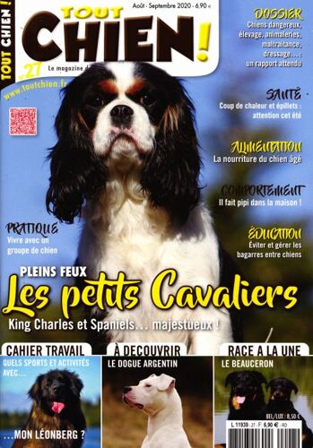 Tout Chien 27 Les Petits Cavaliers