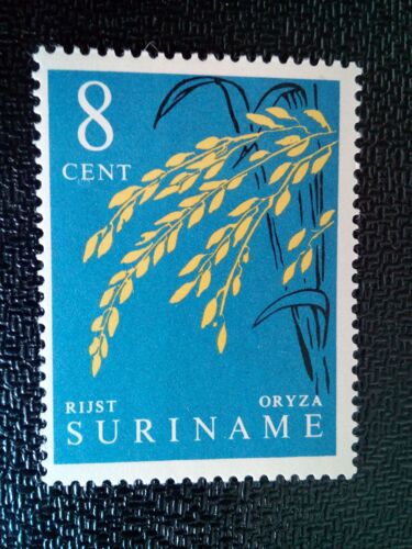 Timbre Suriname Yt 347 Produits Agricoles Nationaux Riz 1961 ( 081004 )