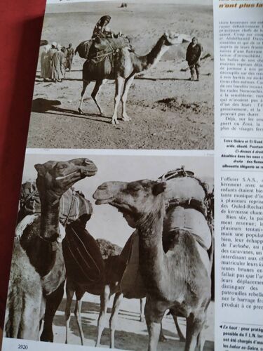 Guerre D Algérie Édition Luxe 10 Tomes Jules Taillandier