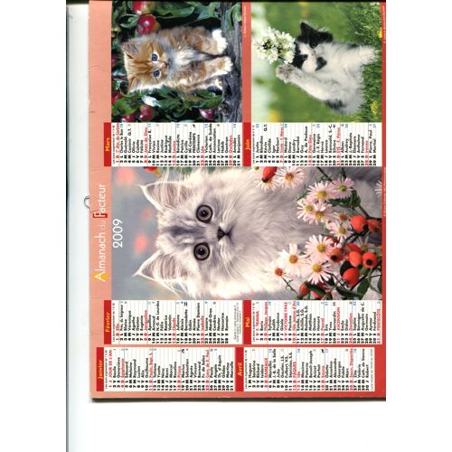 Almanach Du Facteur 2009 Déprt 67 - Chats/Chiens