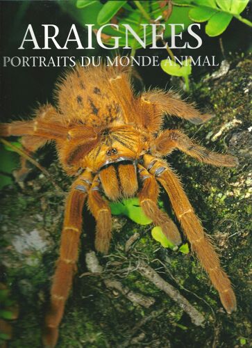 Araignées, Portraits Du Monde Animal