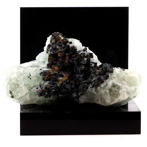 Chalcopyrite + Fluorite. 3136.00 Ct. Le Burg Mine, Tarn, France.