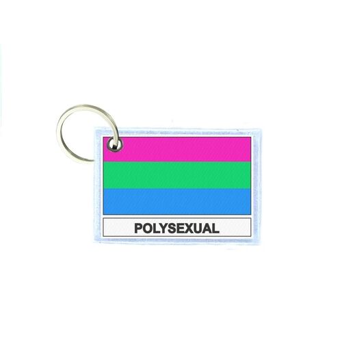 Porte Cles Cle Clefs Imprime Double Face Drapeau Polysexuel Polysexual