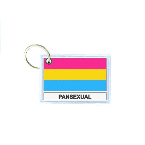 Porte Cles Cle Clefs Imprime Double Face Drapeau Pansexuel Pansexual