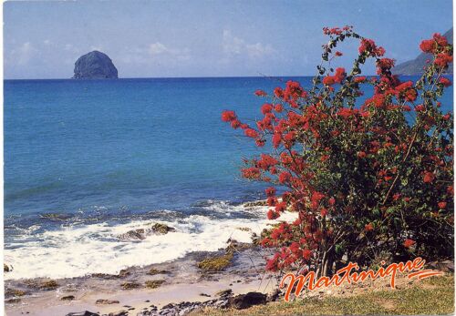 Rocher Du Diamant, Martinique