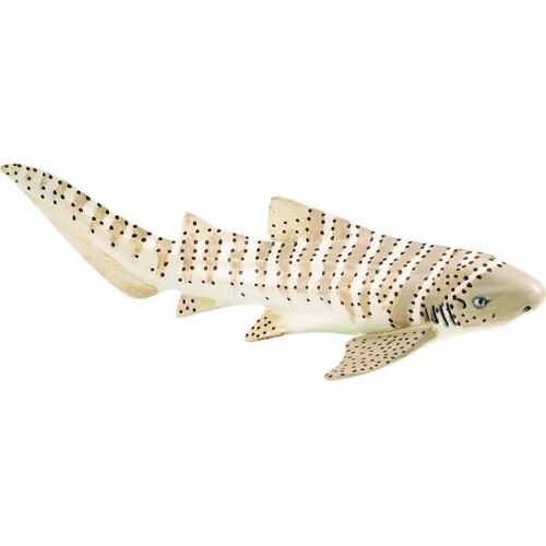 Requin Zebre