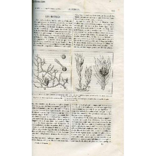 Revue Des Sciences Et De Leurs Applications Aux Arts Et À L'industrie.