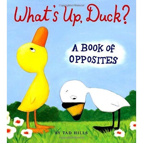 What's Up, Duck?