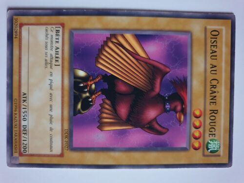 Oiseau Au Crane Rouge