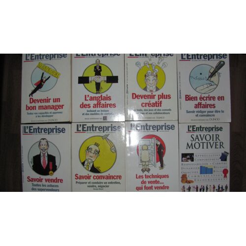 Lot De 8 Livres Des Éditions Dunod Sur L'entreprise