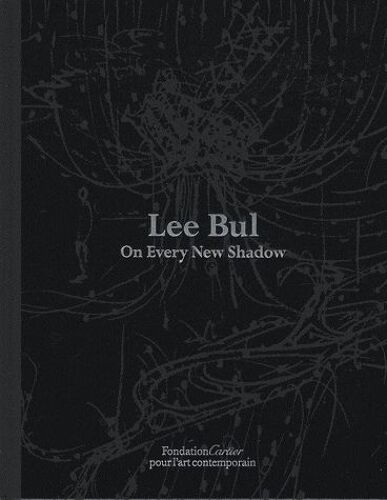 Lee Bul - On Every New Shadow