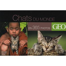 Chats Du Monde En 365 Photos