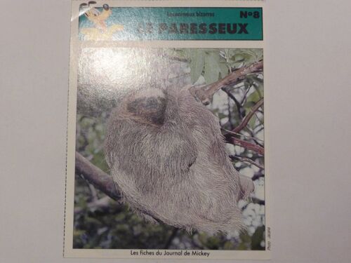Fiche Le Journal De Mickey Le Paresseux