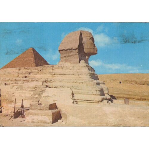Gizeh - Egypte - Le Sphinx Une Pyramide