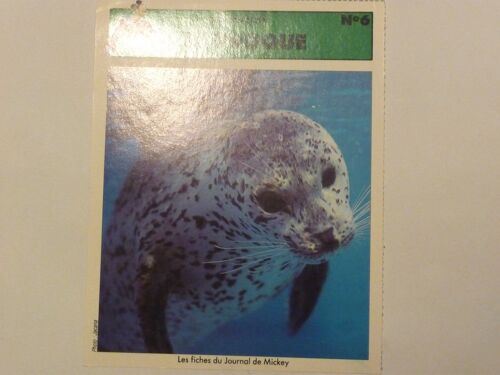 Fiche Le Journal De Mickey Le Phoque