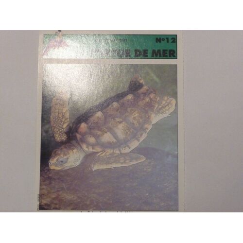 Fiche Le Journal De Mickey La Tortue De Mer