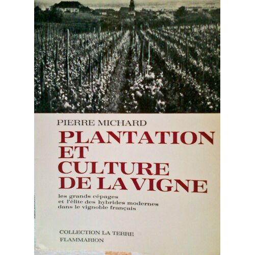 Plantation Et Culture De La Vigne