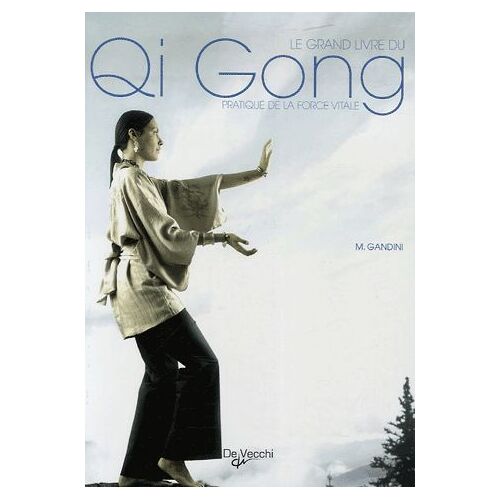 Le Grand Livre Du Qi Gong