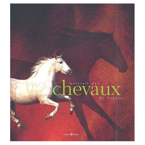 Portrait Des Chevaux De France