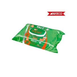 Lingettes Humides Xl Désinfectantes À L'aloès Et À La Chlorhexidine 40 Unités (30x20cm) Gill's