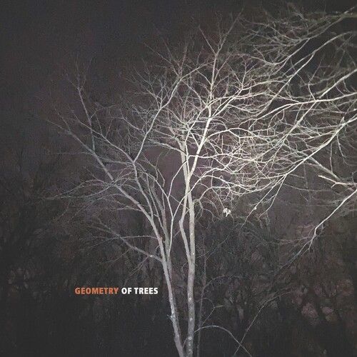 Tomeka Reid - Geometry Of Trees [Compact Discs]