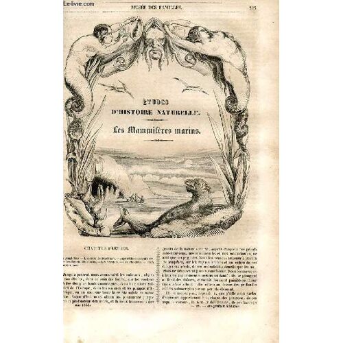 Le Musée Des Familles - Lecture Du Soir - 1ère Série - Livraison N°29 - Etudes D'histoire Naturelle - Les Mammifères Marins Par Boitard