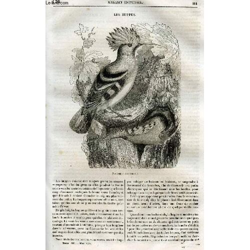 Le Magasin Universel - Tome Troisième - Livraison N°26 - Les Huppes.