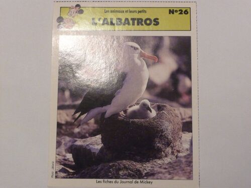Fiche Le Journal De Mickey L'albatros