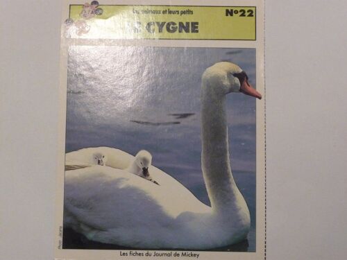 Fiche Le Journal De Mickey Le Cygne