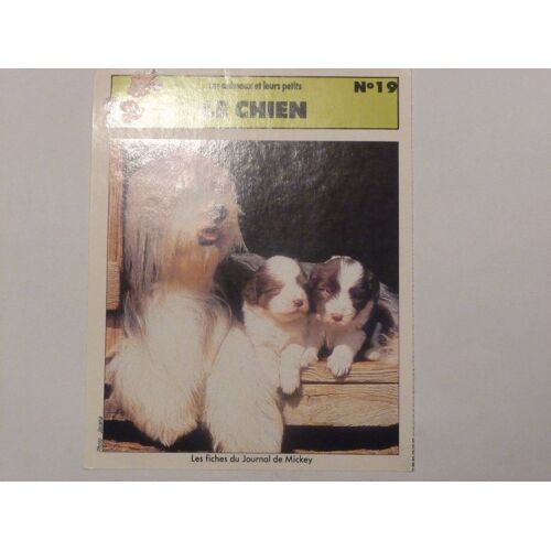 Fiche Le Journal De Mickey Le Chien