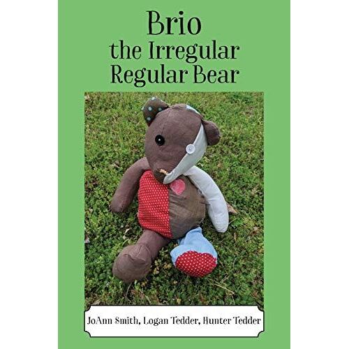 Brio, The Irregular Regular Bear
