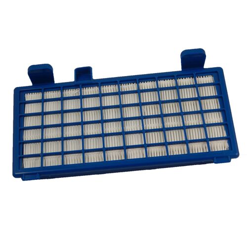 vhbw filtre HEPA pour aspirateurs, remplacement pour RS-RT3931, ZR-902301, compatible avec Rowenta X-Trem Power Cyclonic de la série RO-62xx