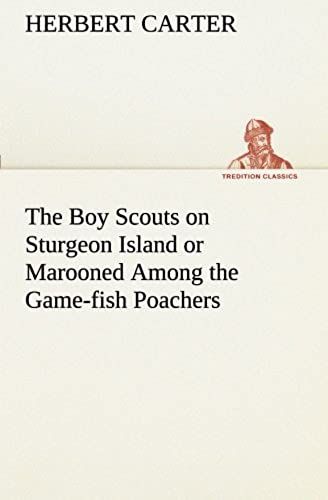 The Boy Scouts On Sturgeon Island Or Marooned Among The Game-Fish Poachers