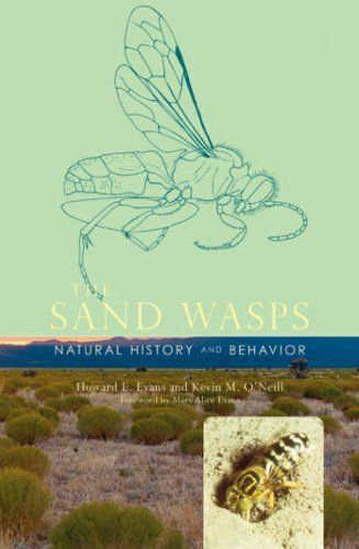 The Sand Wasps: Natural History And Behavior