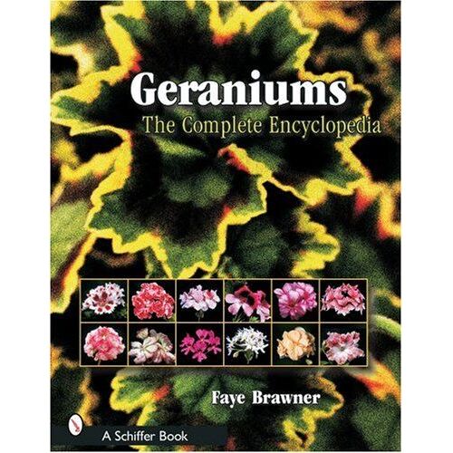 Geraniums