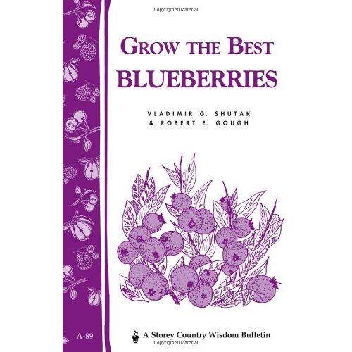 Grow The Best Blueberries