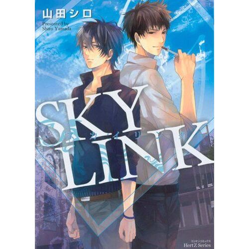 Sky Link