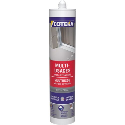 Mastic multi-usages gris 290ml