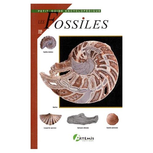 Les Fossiles