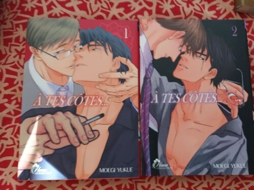 Lot Intégral Manga Yaoi À Tes Côtés 1-2 En Vf De Yukue Moegi