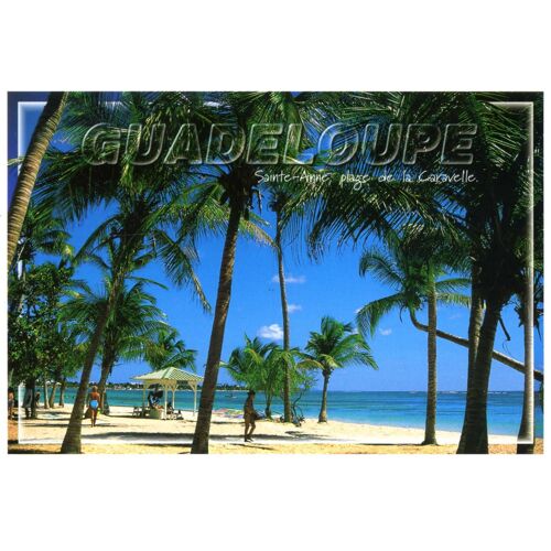 Carte Postale De Sainte-Anne (Guadeloupe) Plage De La Caravelle