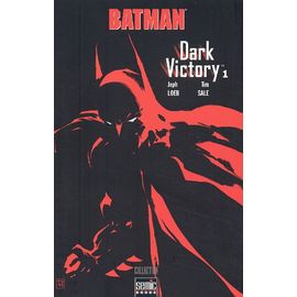 Batman Dark Victory - Tome 1