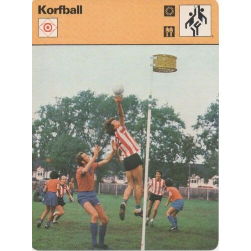 Fiche De Korfball