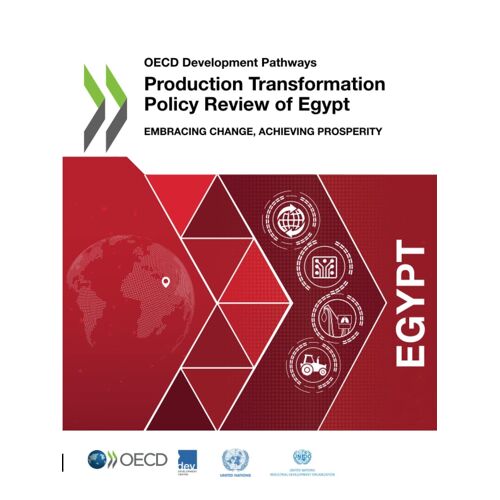 Production Transformation Policy Review Of Egypt