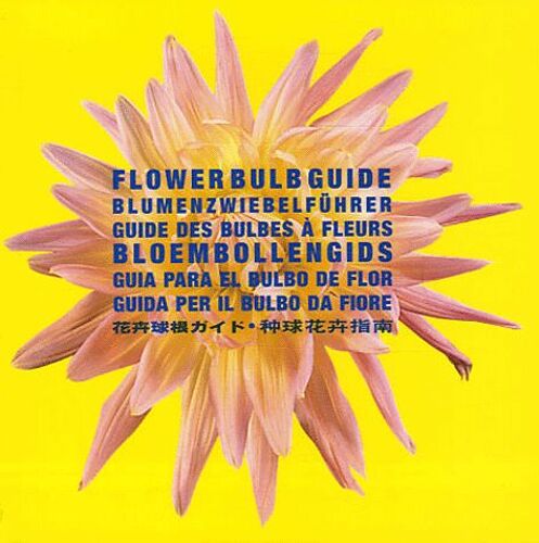 Flower Bulb Guide : Guide Des Bulbes À Fleurs - Edition Anglais-Français-Allemand-Néerlandais
