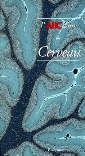L'abcdaire Du Cerveau